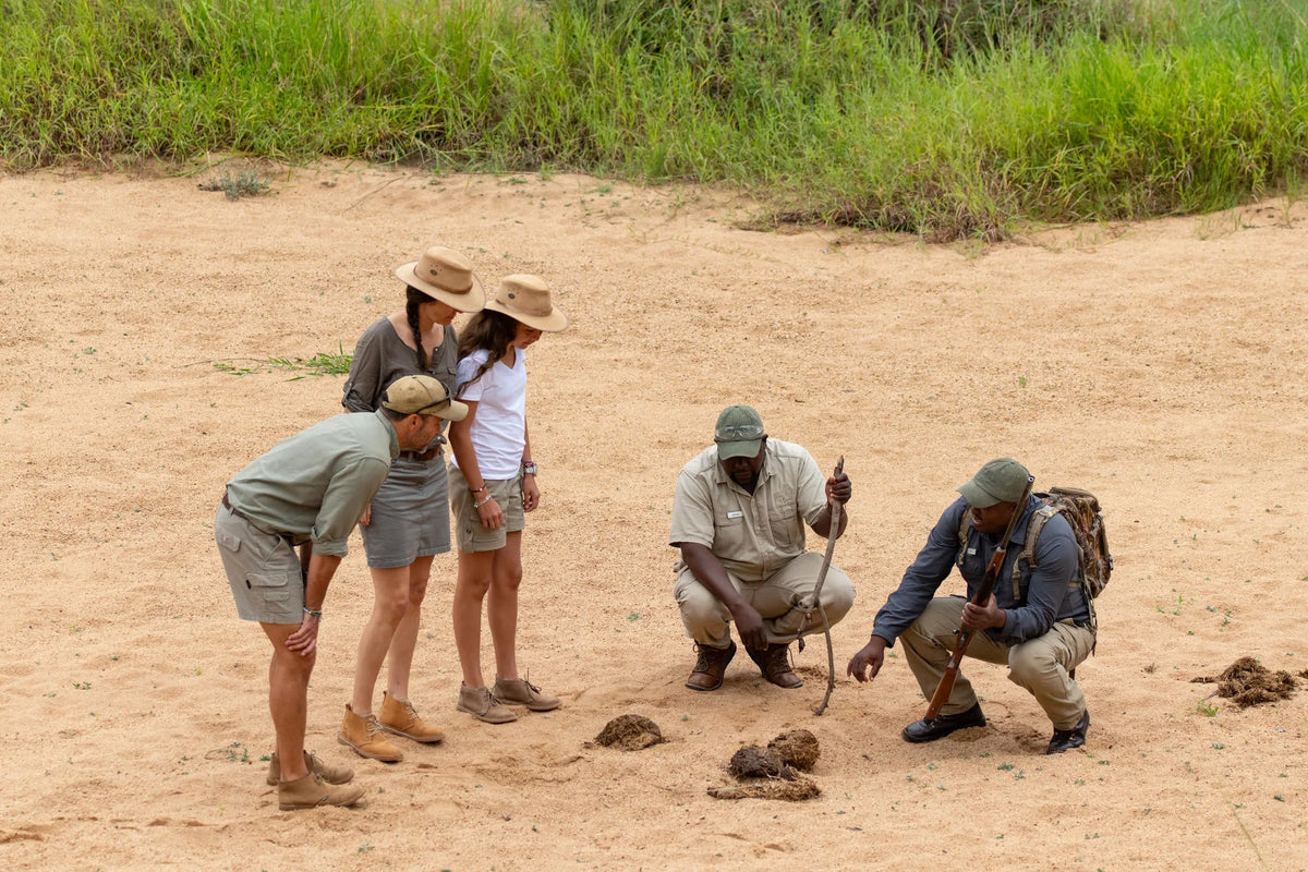 bush walk at Thornybush Game Lodge, Thornybush Game Reserve, South Africa.