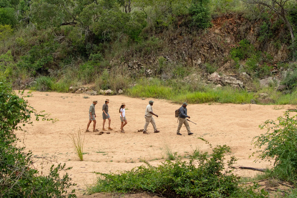 bush walk at Thornybush Game Lodge, Thornybush Game Reserve, South Africa.