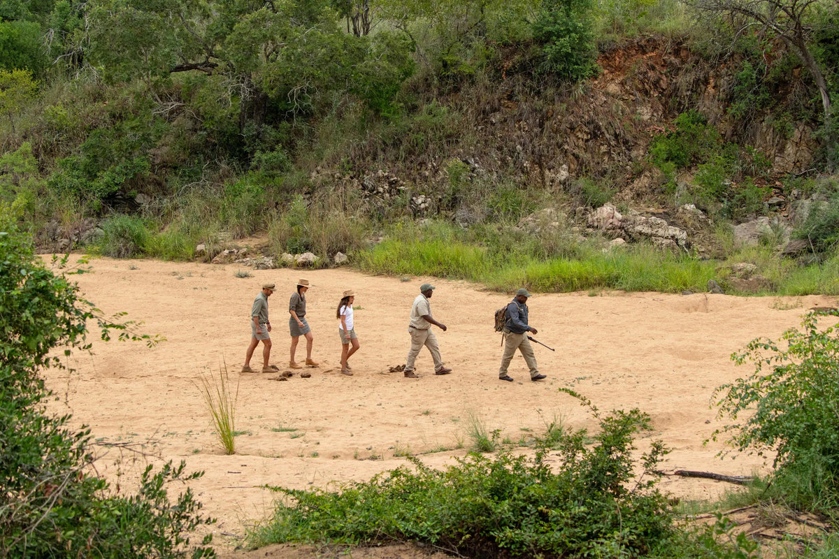bush walk at Thornybush Game Lodge, Thornybush Game Reserve, South Africa.