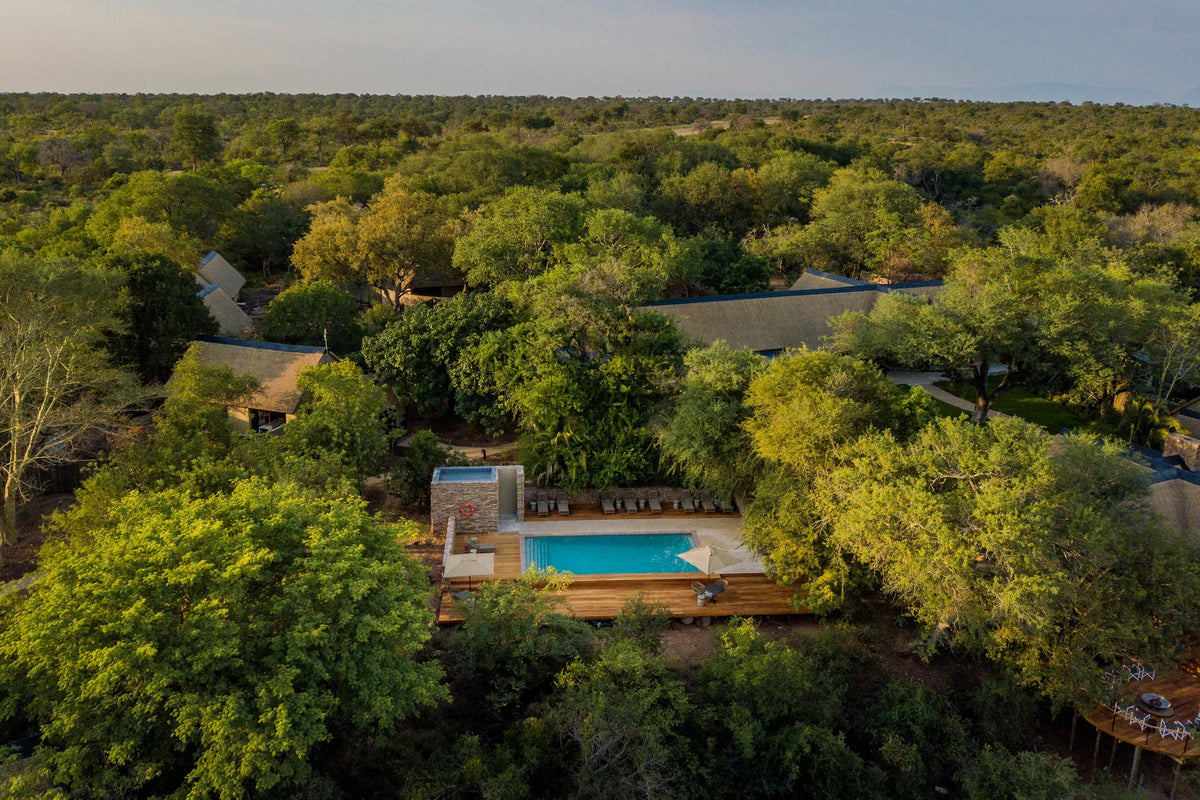 Aerial of Pool at Thornybush Game Lodge, Thornybush Game Reserve, South Africa.