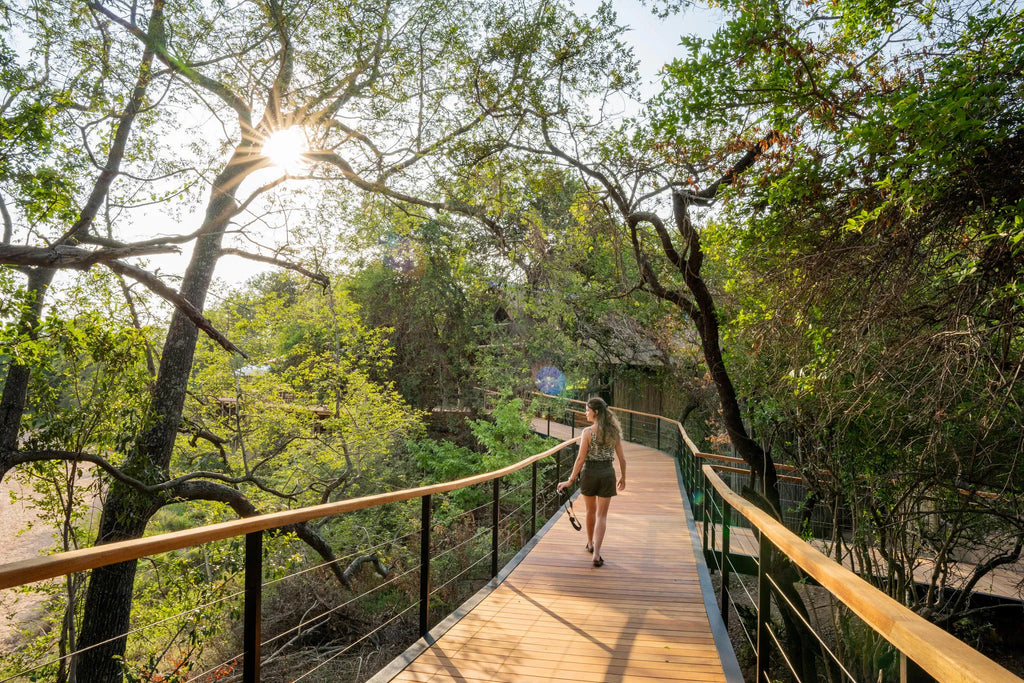 Decks walking to rooms at Thornybush Game Lodge, Thornybush Game Reserve, South Africa.