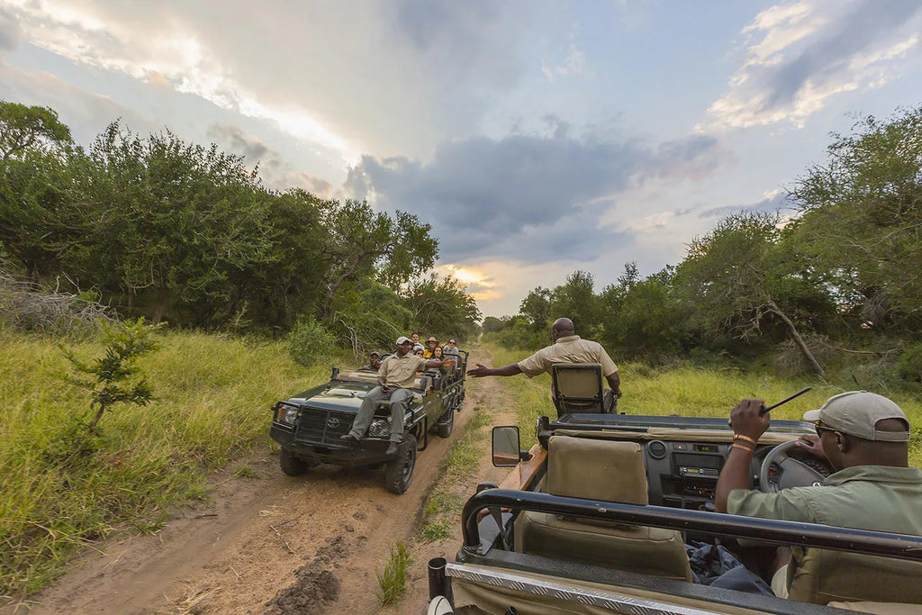 Thornybush Nature Reserve at Thornybush Game Lodge, Thornybush Game Reserve, South Africa.