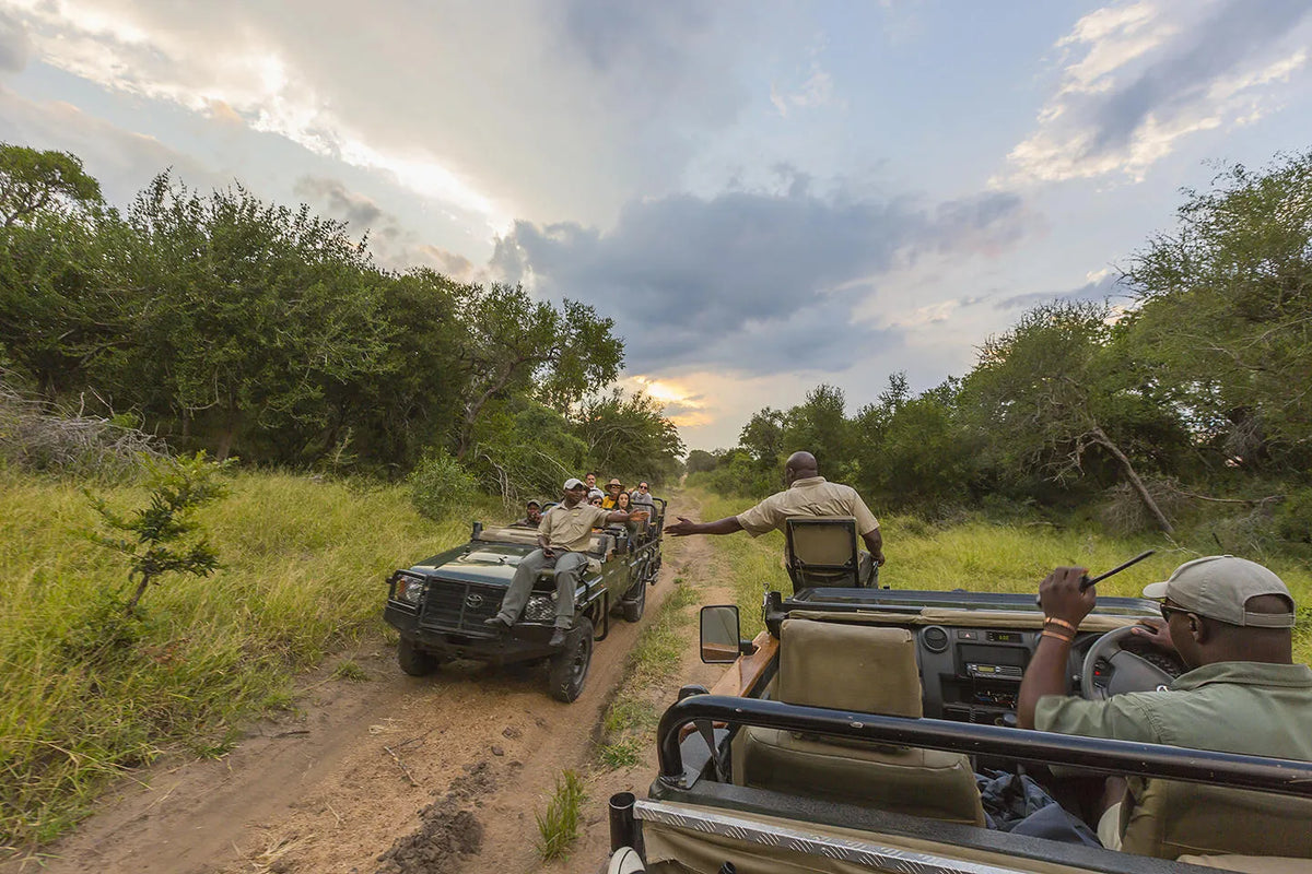Thornybush Nature Reserve at Thornybush Game Lodge, Thornybush Game Reserve, South Africa.