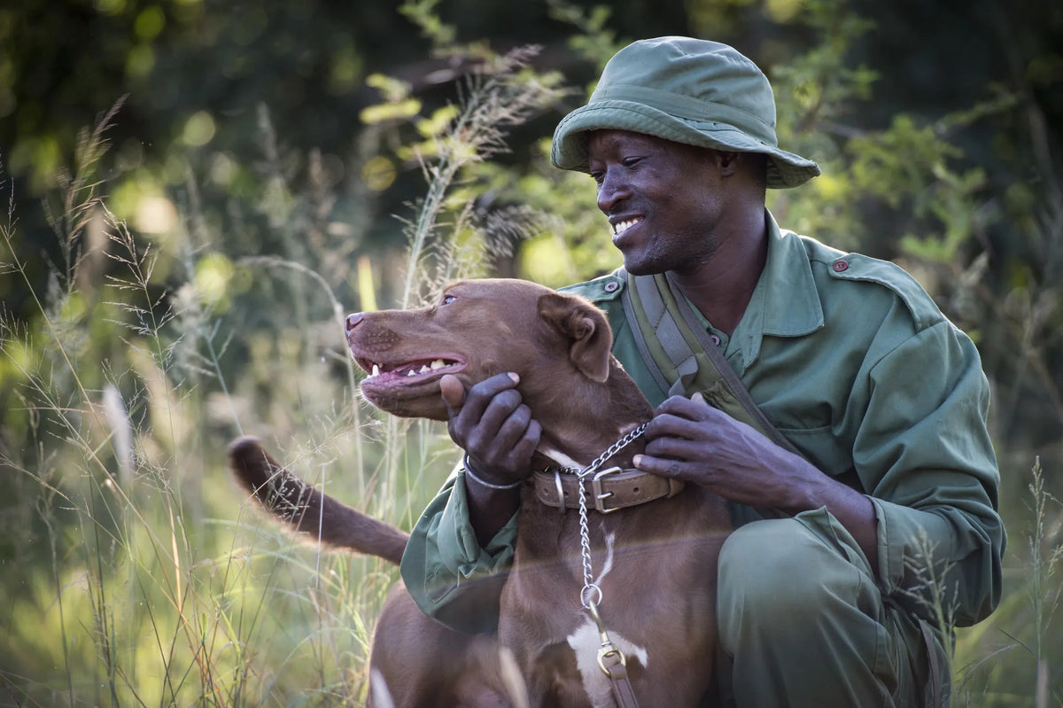 Canine Unit Experience