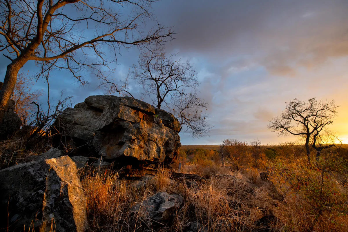 Singita Boulders Lodge at Singita Boulders Lodge, Sabi Sand Nature Reserve, South Africa.