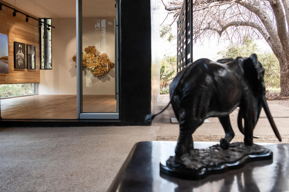 Singita Boutique and Gallery