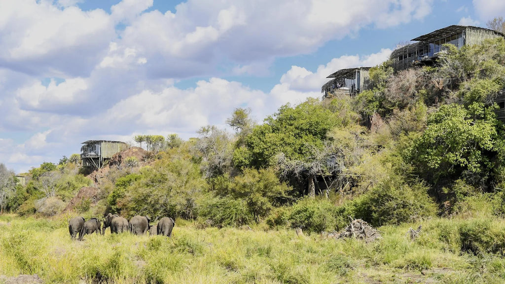 Landscape View of the Lodge at Singita Lebombo Lodge, Kruger National Park, South Africa.