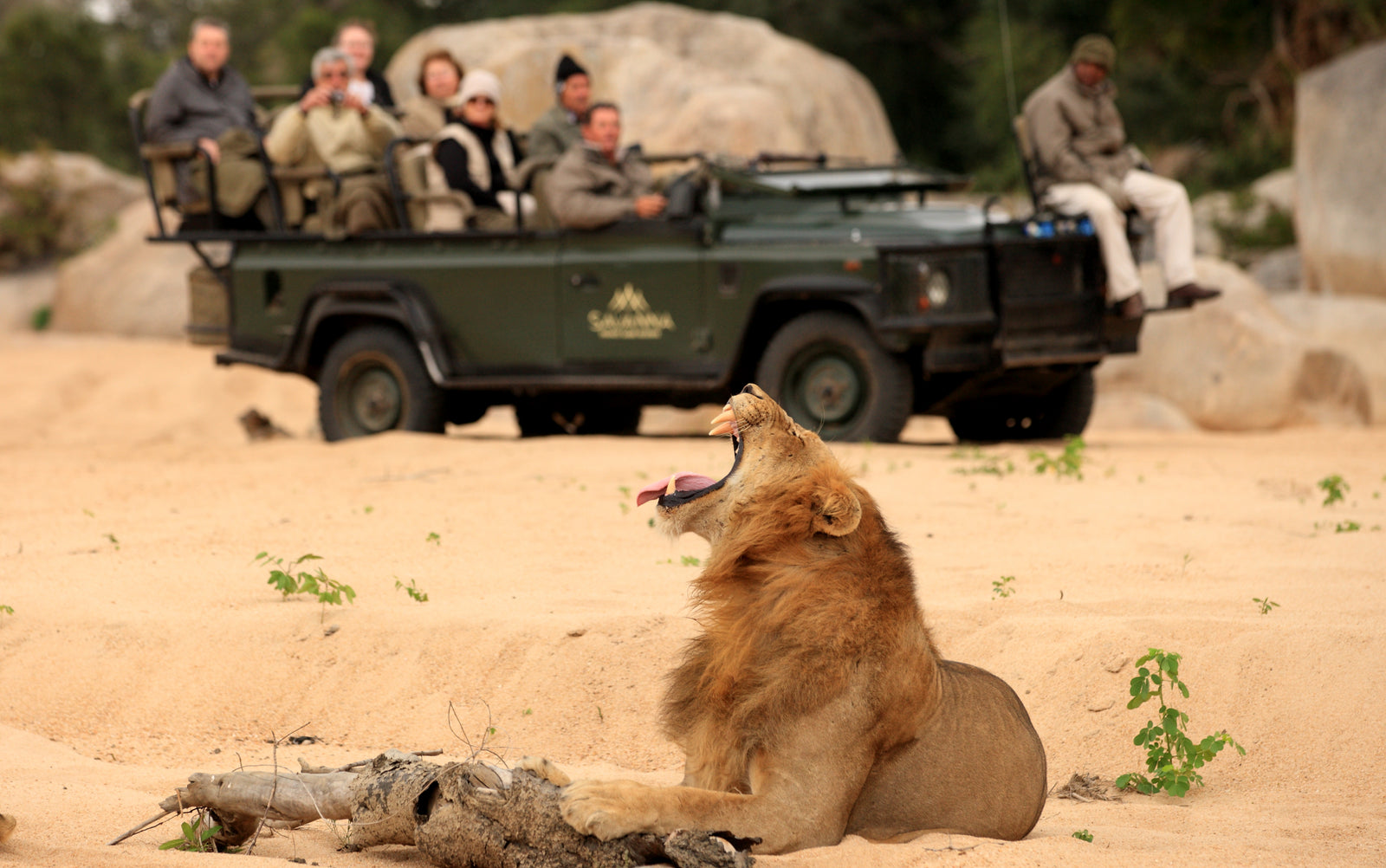Savanna Private Game Reserve — Game Drives
