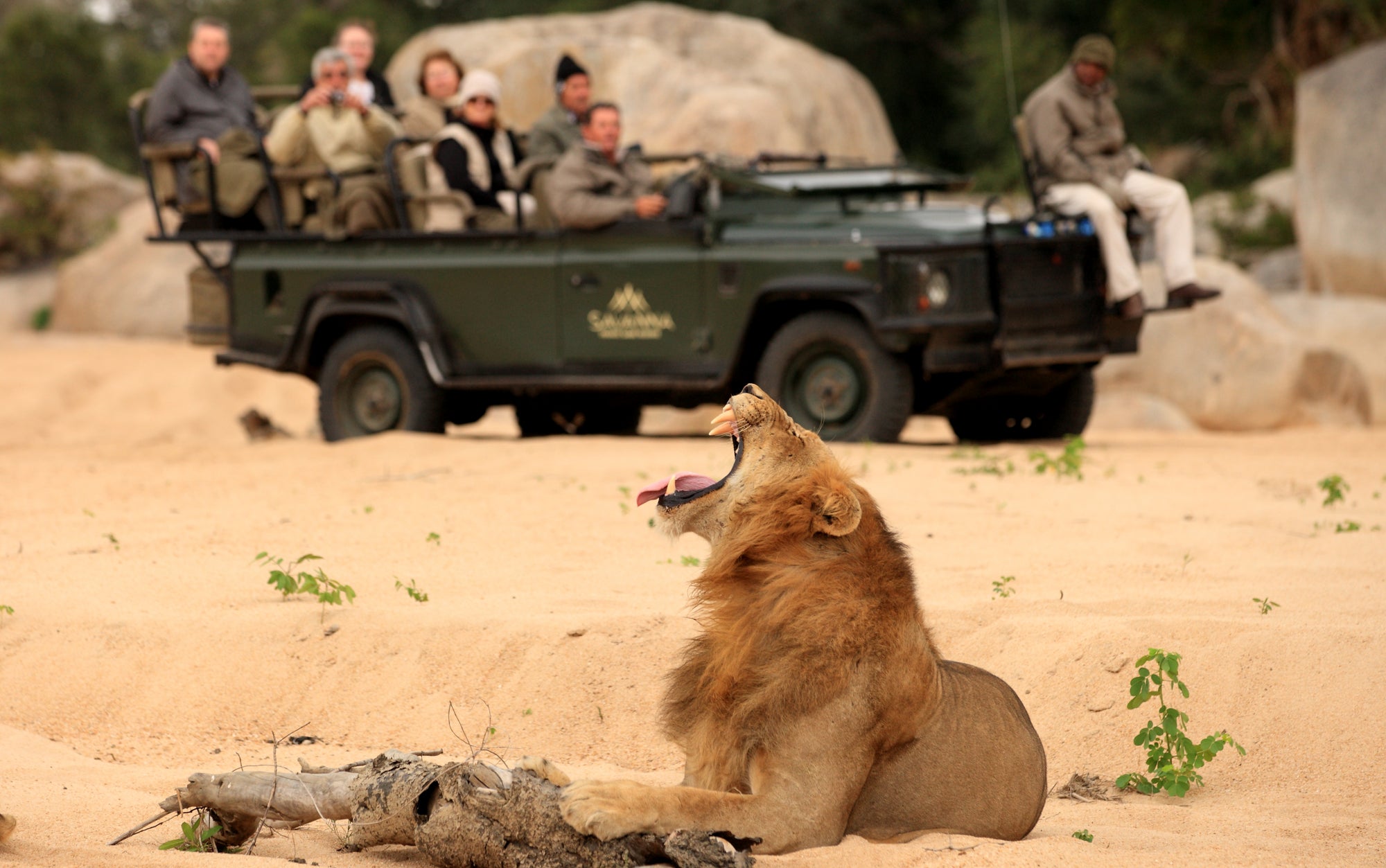 Game Drives
