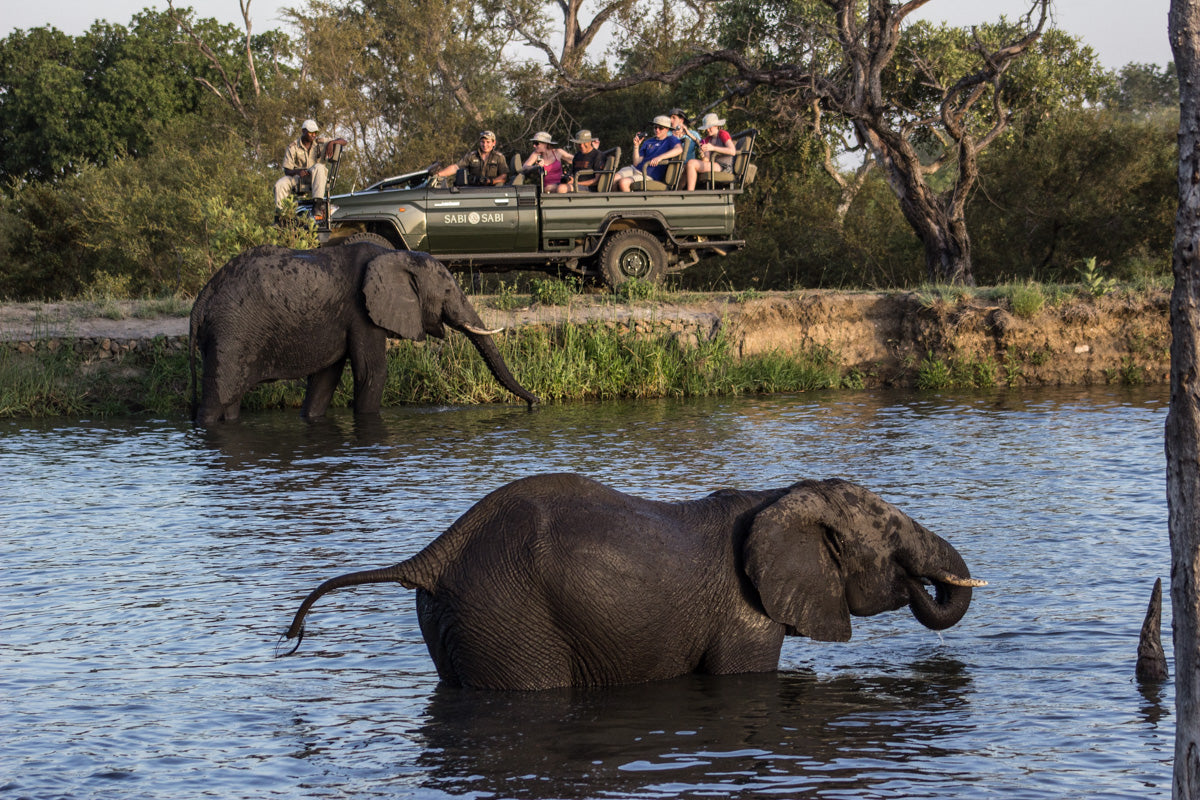 Safaris