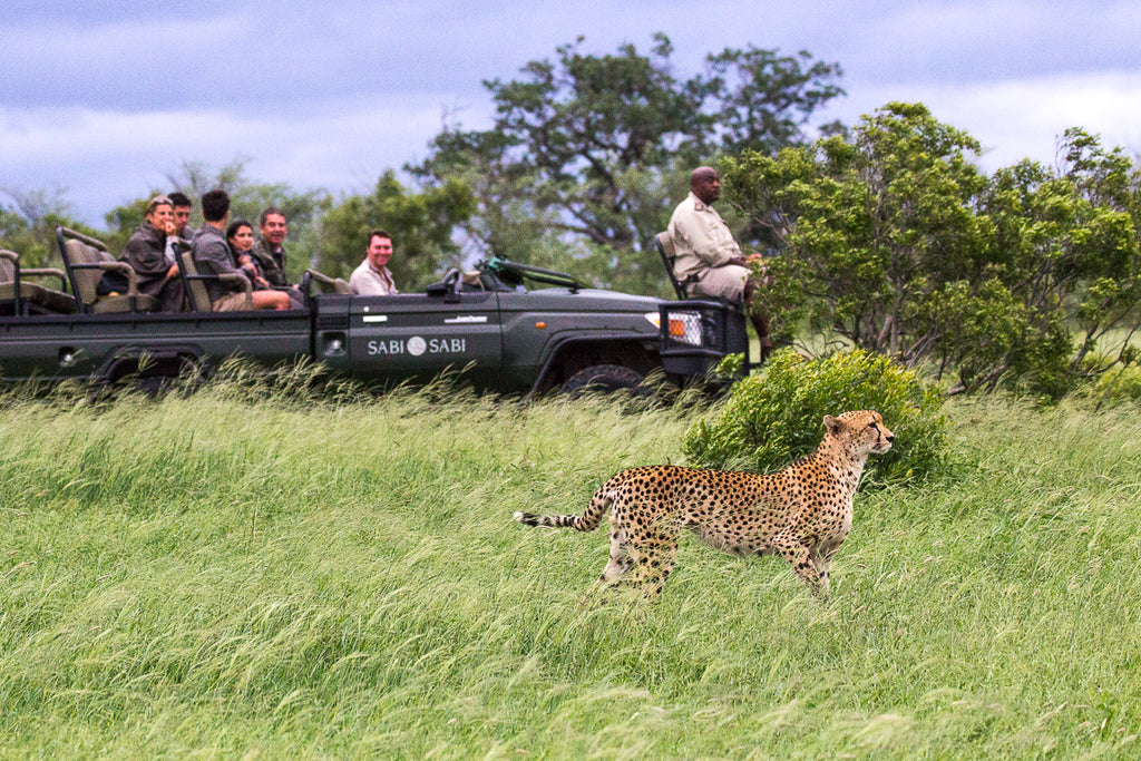Safaris