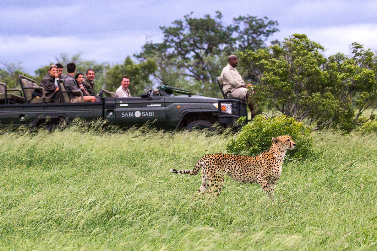 Safaris