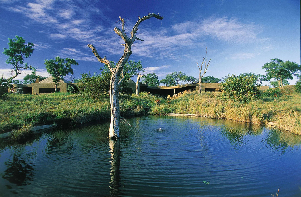 View from Waterhole at Sabi Sabi Earth Lodge, Sabi Sand Nature Reserve, South Africa.