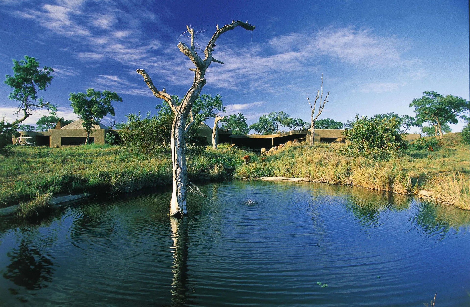 View from Waterhole at Sabi Sabi Earth Lodge, Sabi Sand Nature Reserve, South Africa.