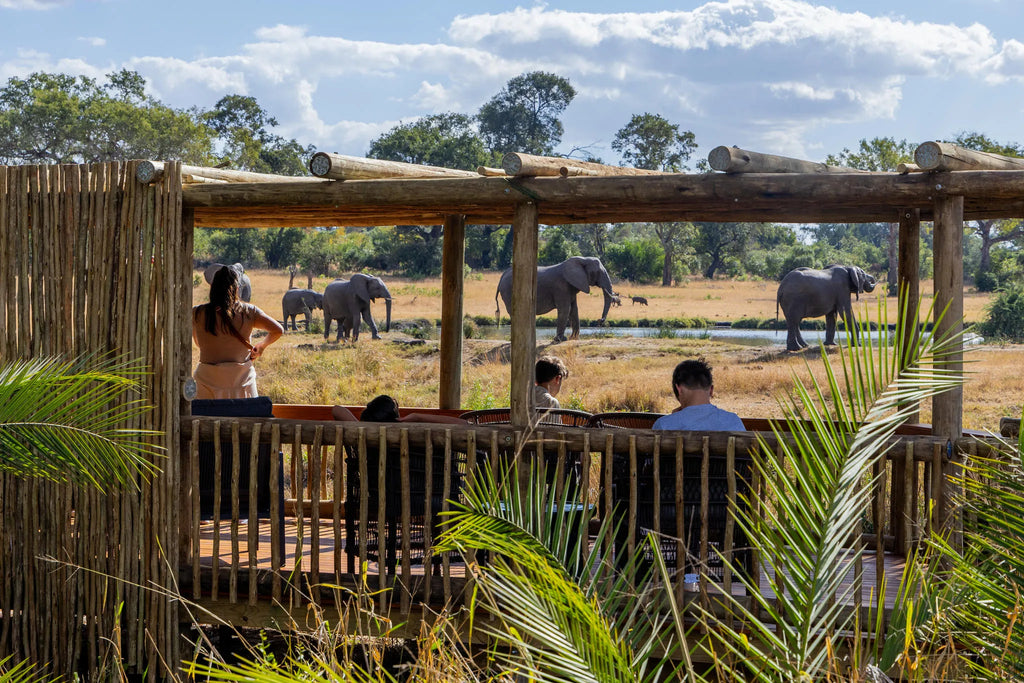 Loon's Lounge at Sabi Sabi Bush Lodge, Sabi Sand Nature Reserve, South Africa.