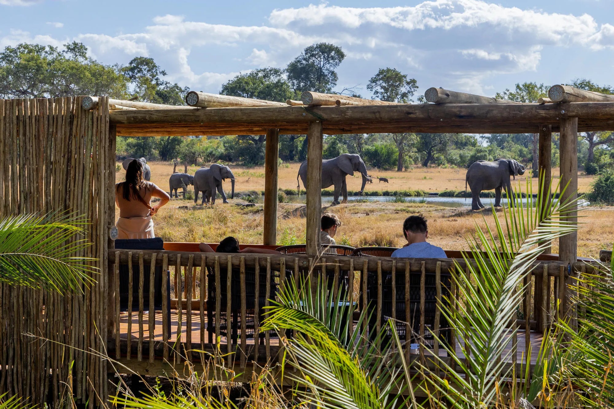 Loon's Lounge at Sabi Sabi Bush Lodge, Sabi Sand Nature Reserve, South Africa.