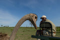 Safaris 