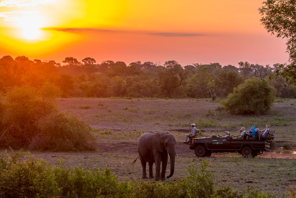Safaris 