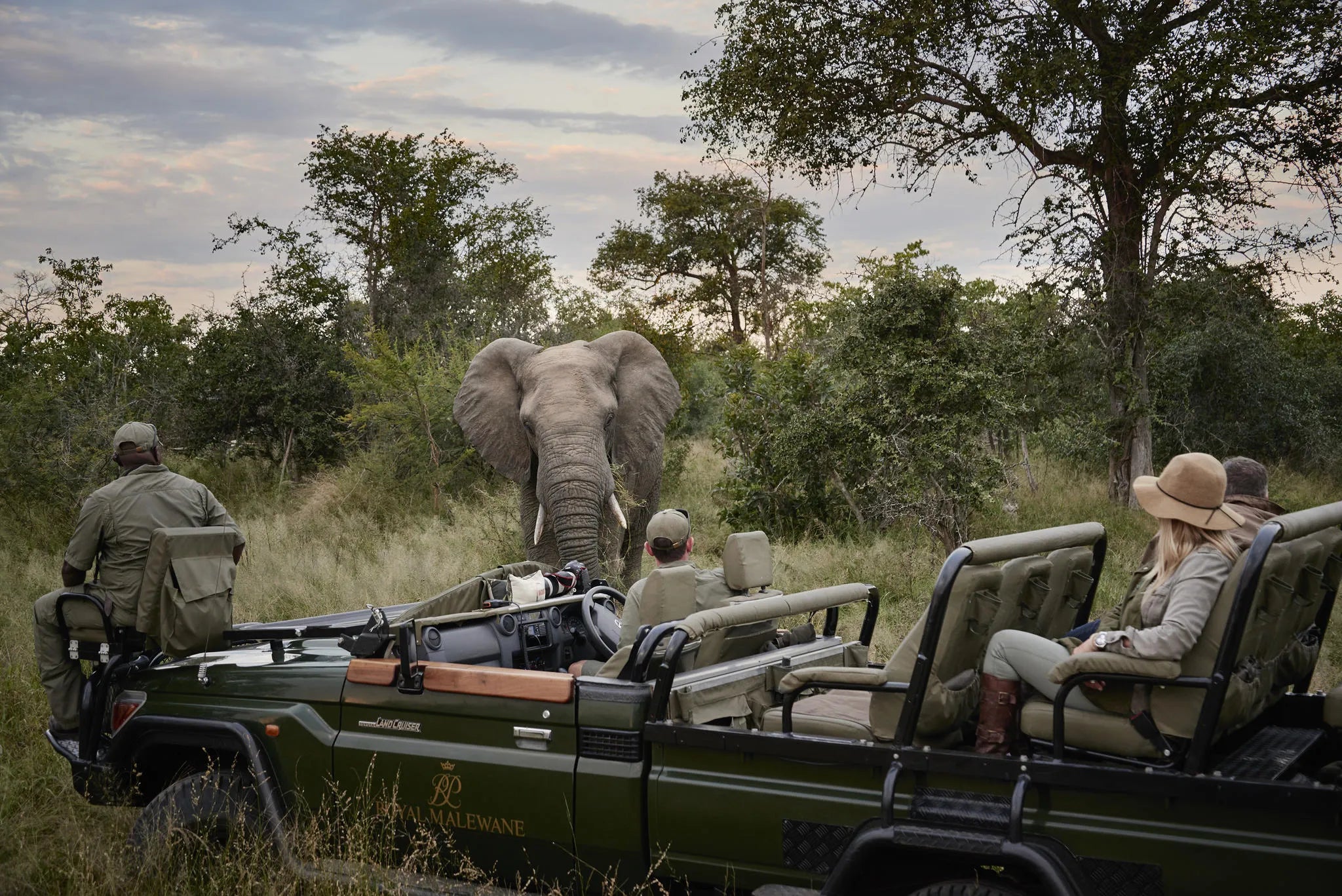 Game Drive with Elephants at Malewane Lodge at Royal Malewane, Thornybush Game Reserve, South Africa.