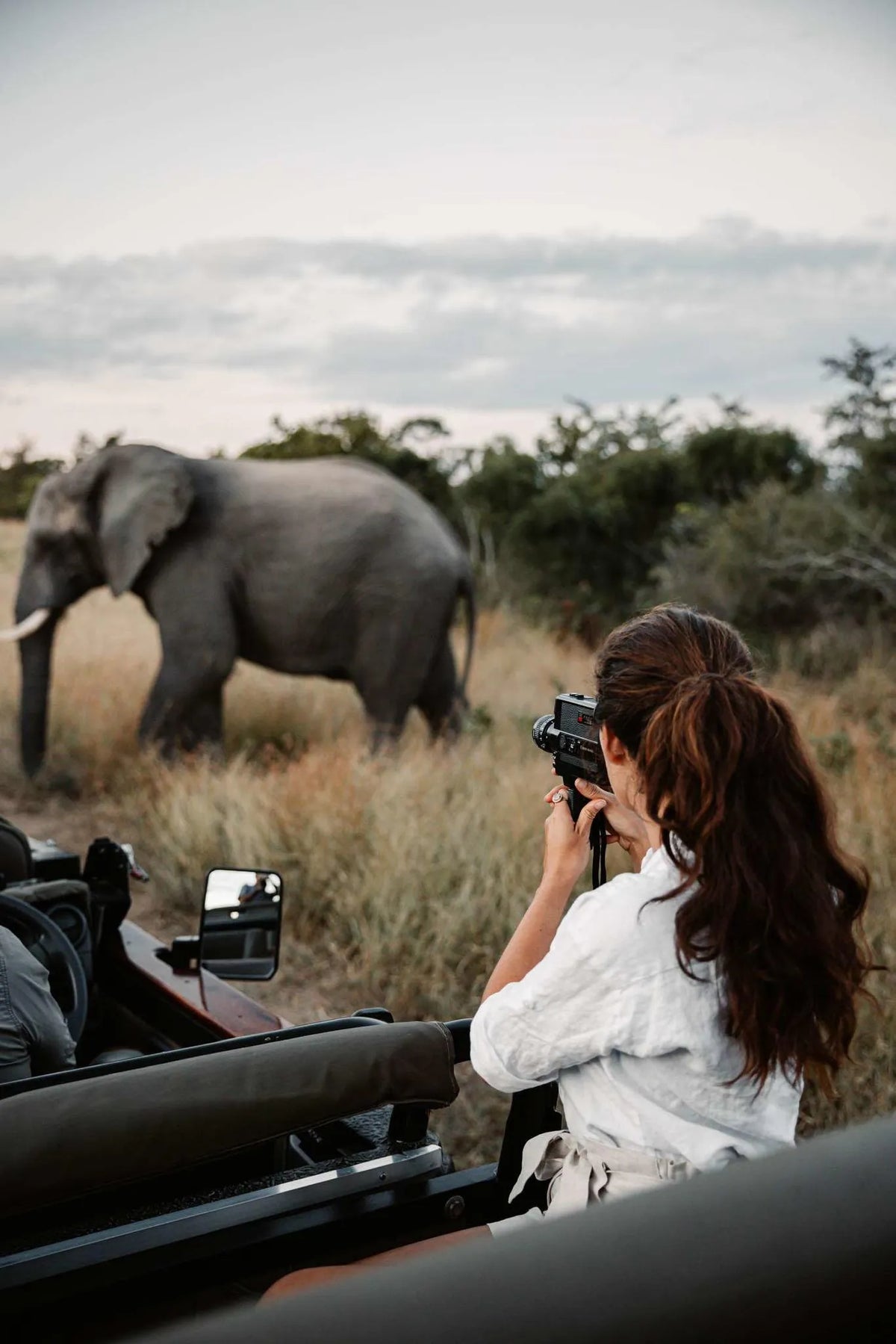 Photographic Safaris
