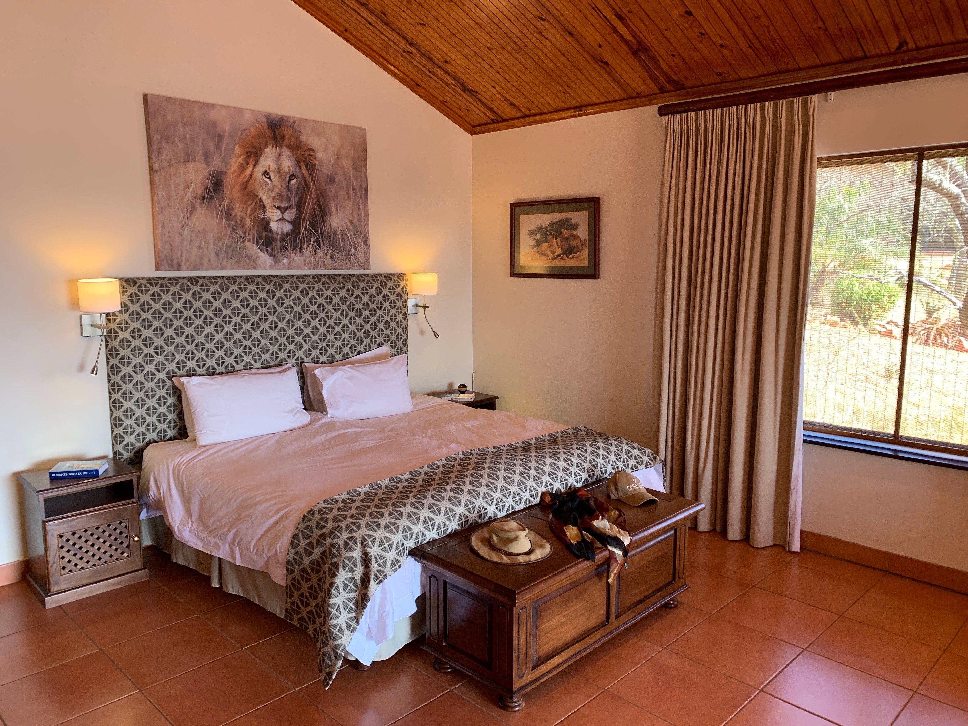 Lion suite