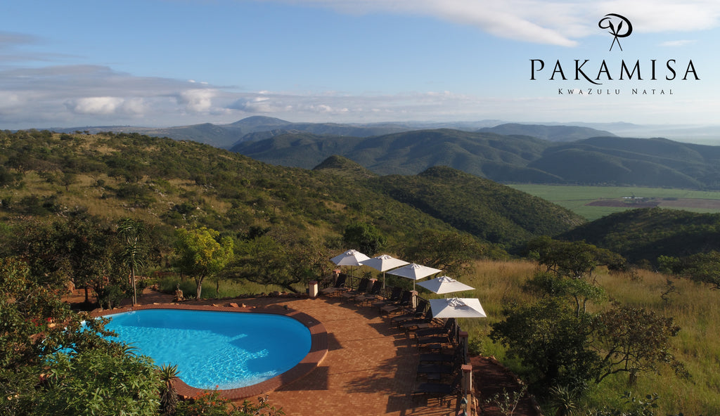 Pool with amazing views