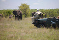 Private Safari (additional cost)