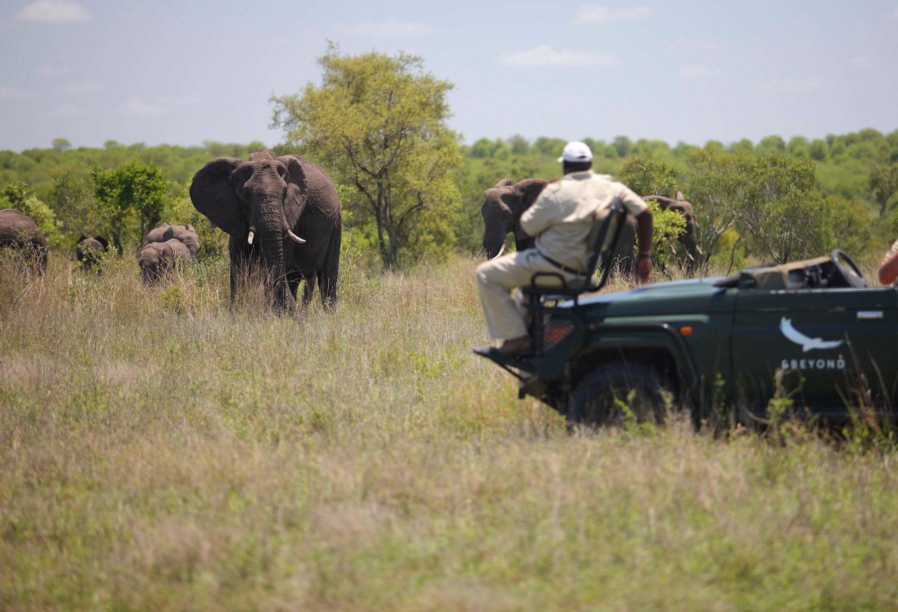 Private Safari (additional cost)