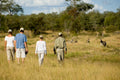 Interpretative nature walks (Included)