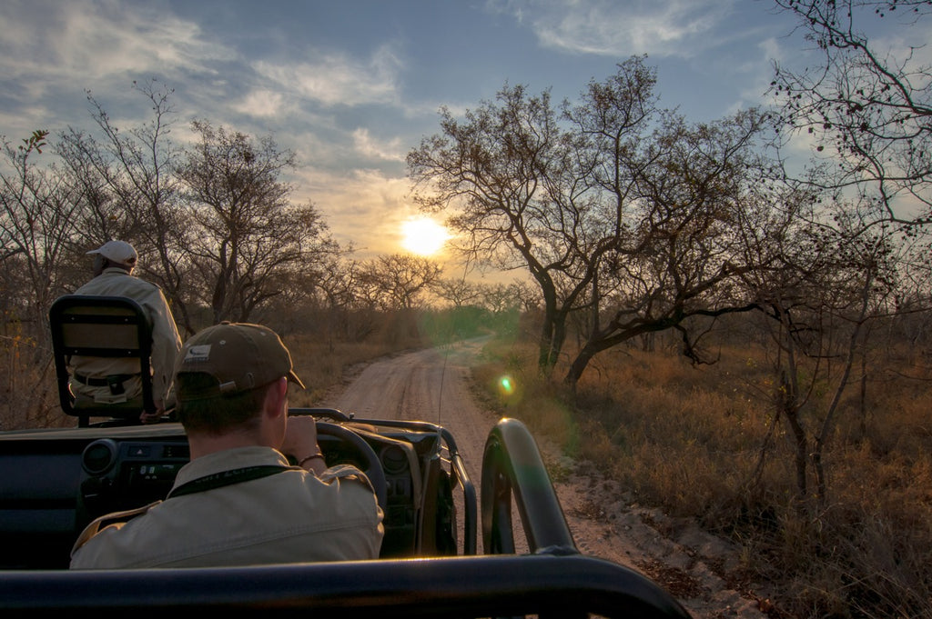 Game Drives (Included)