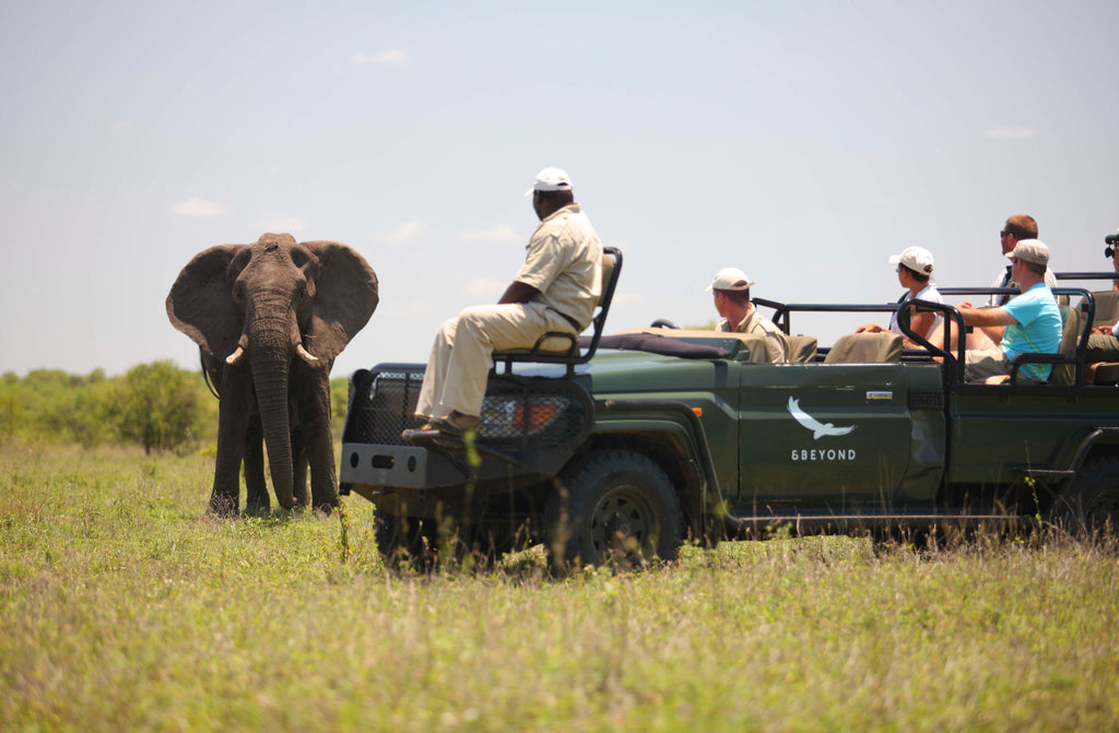 Game Drives (Included)