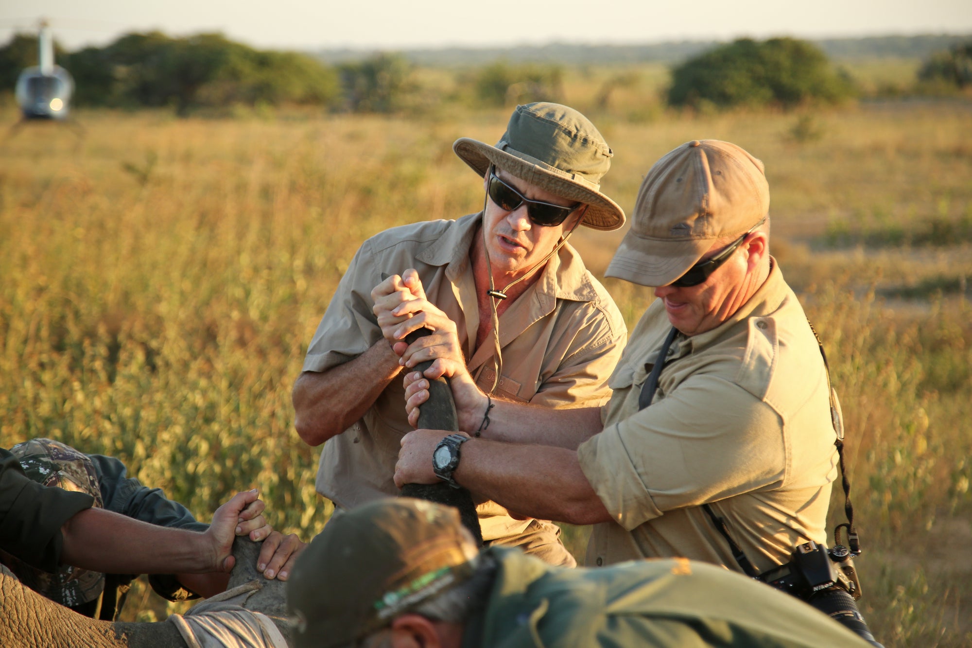 Rhino Notching (Additional Cost)