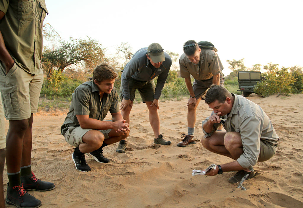 Big Game Viewing Walk  (Included; subject to the availability of a qualified guide)