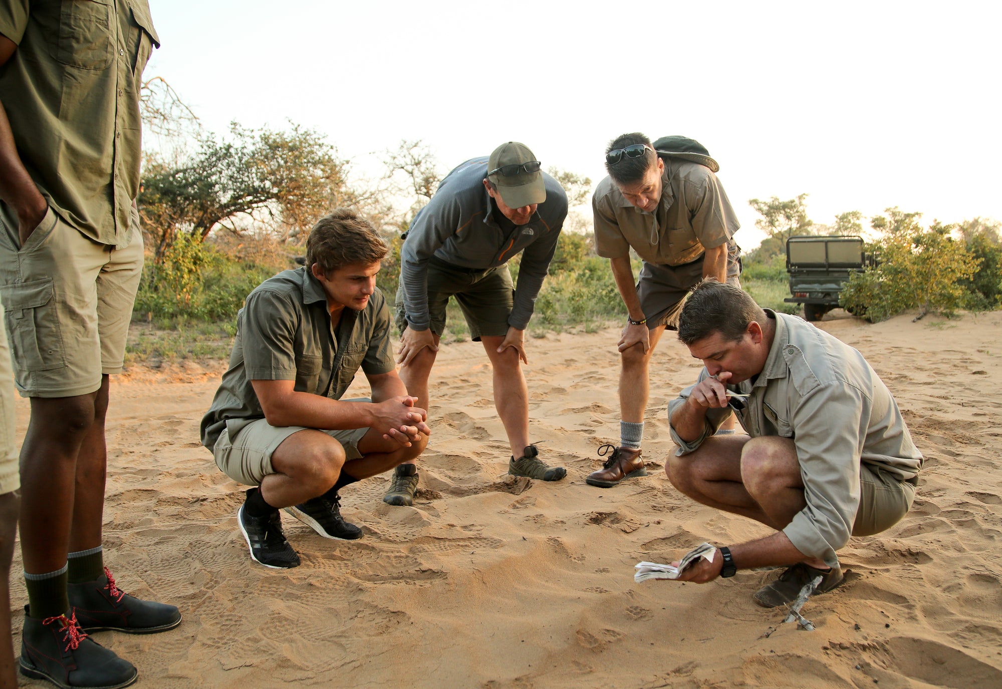 Big Game Viewing Walk  (Included; subject to the availability of a qualified guide)