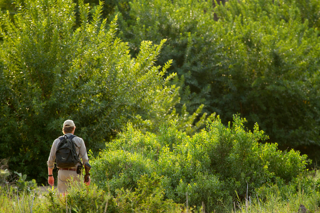 Interpretative nature walks (Included)