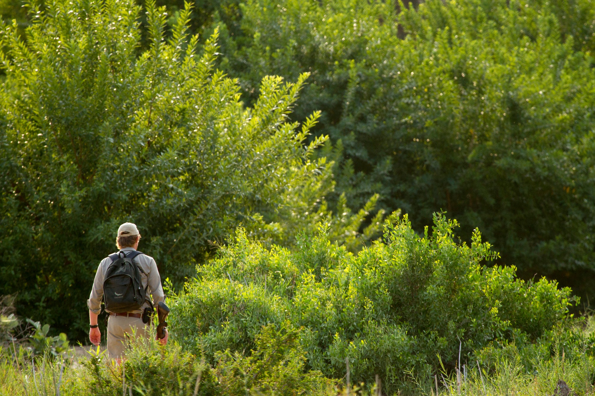 Interpretative nature walks (Included)