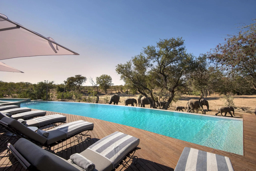 andBeyond Ngala Safari Lodge at andBeyond Ngala Safari Lodge, Ngala Private Game Reserve, South Africa.