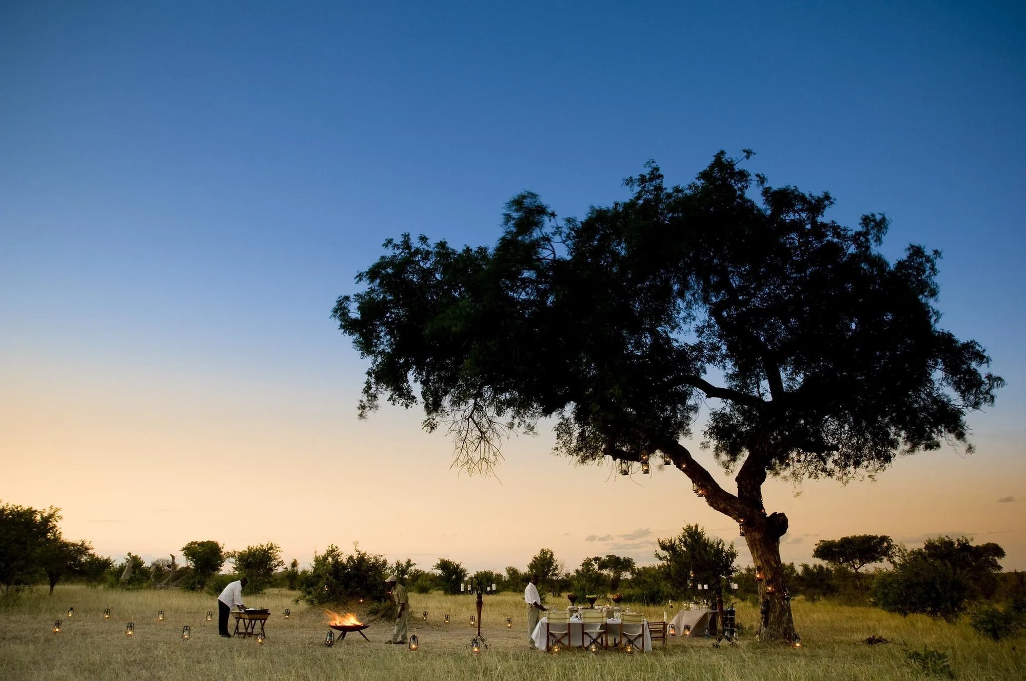 andBeyond Ngala Safari Lodge at andBeyond Ngala Safari Lodge, Ngala Private Game Reserve, South Africa.