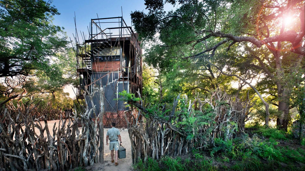 The Ngala Treehouse at andBeyond Ngala Safari Lodge, Ngala Private Game Reserve, South Africa.