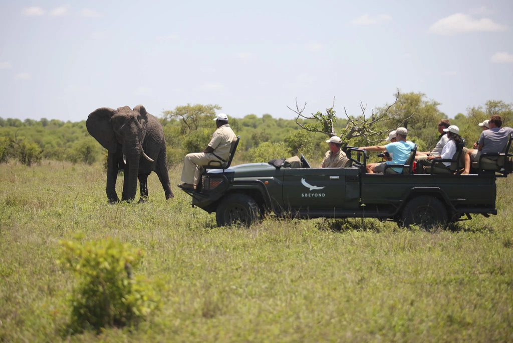 andBeyond Ngala Safari Lodge at andBeyond Ngala Safari Lodge, Ngala Private Game Reserve, South Africa.