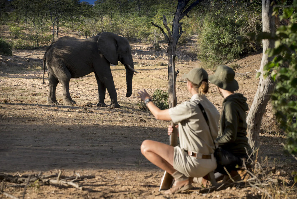 Ngala Private Game Reserve at andBeyond Ngala Safari Lodge, Ngala Private Game Reserve, South Africa.