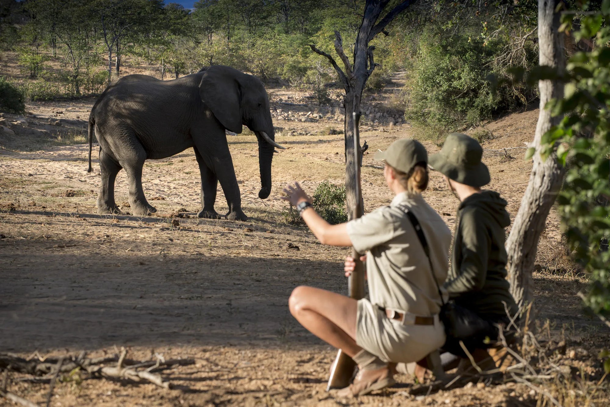 Ngala Private Game Reserve at andBeyond Ngala Safari Lodge, Ngala Private Game Reserve, South Africa.