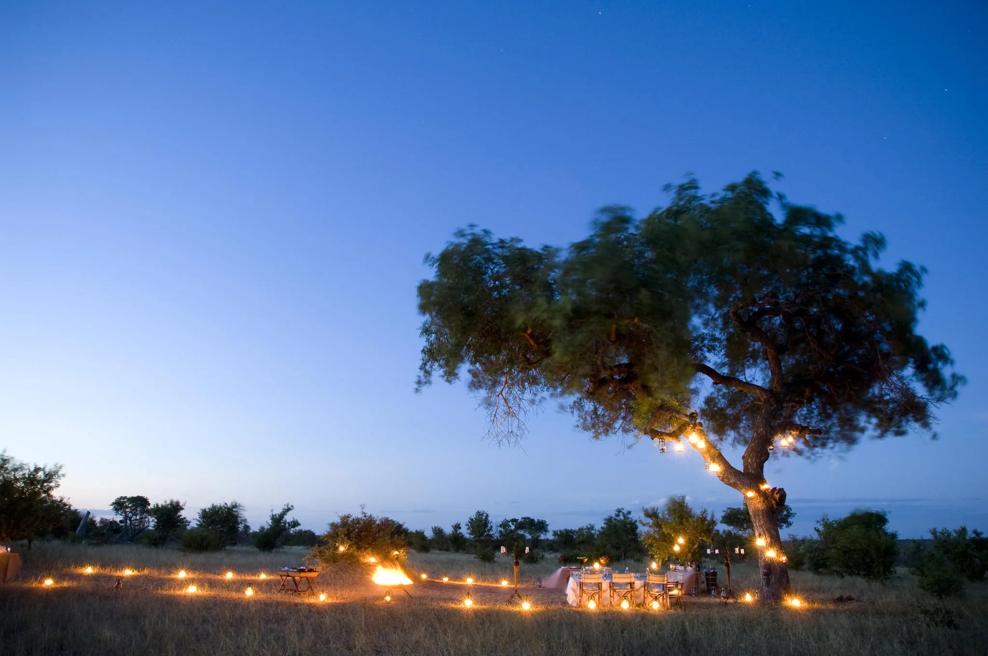 Ngala Private Game Reserve at andBeyond Ngala Safari Lodge, Ngala Private Game Reserve, South Africa.