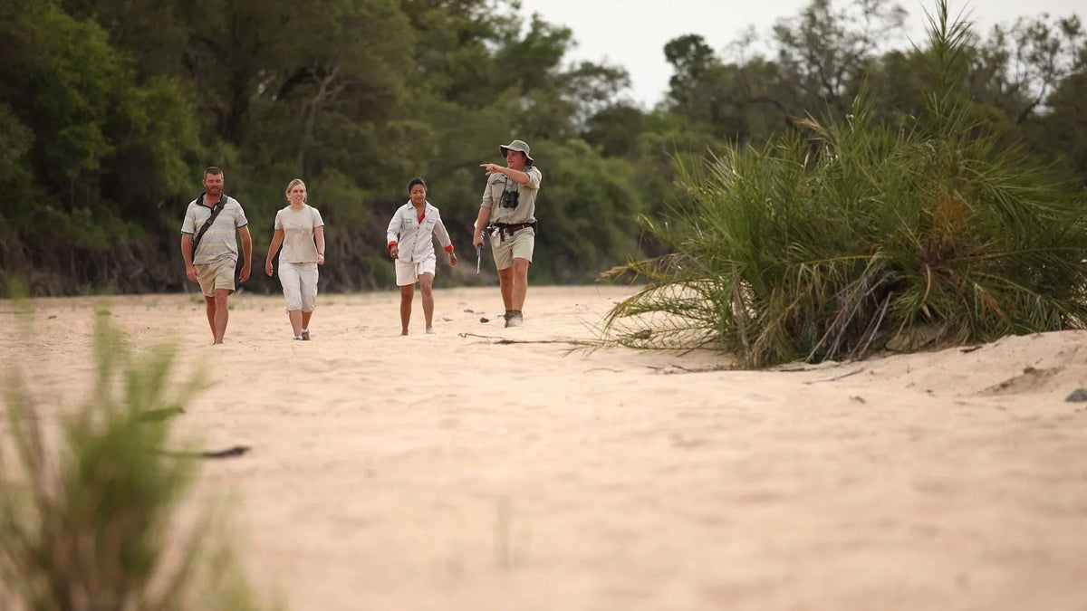 Guided Nature Walk at andBeyond Ngala Tented Camp, Ngala Private Game Reserve, South Africa.