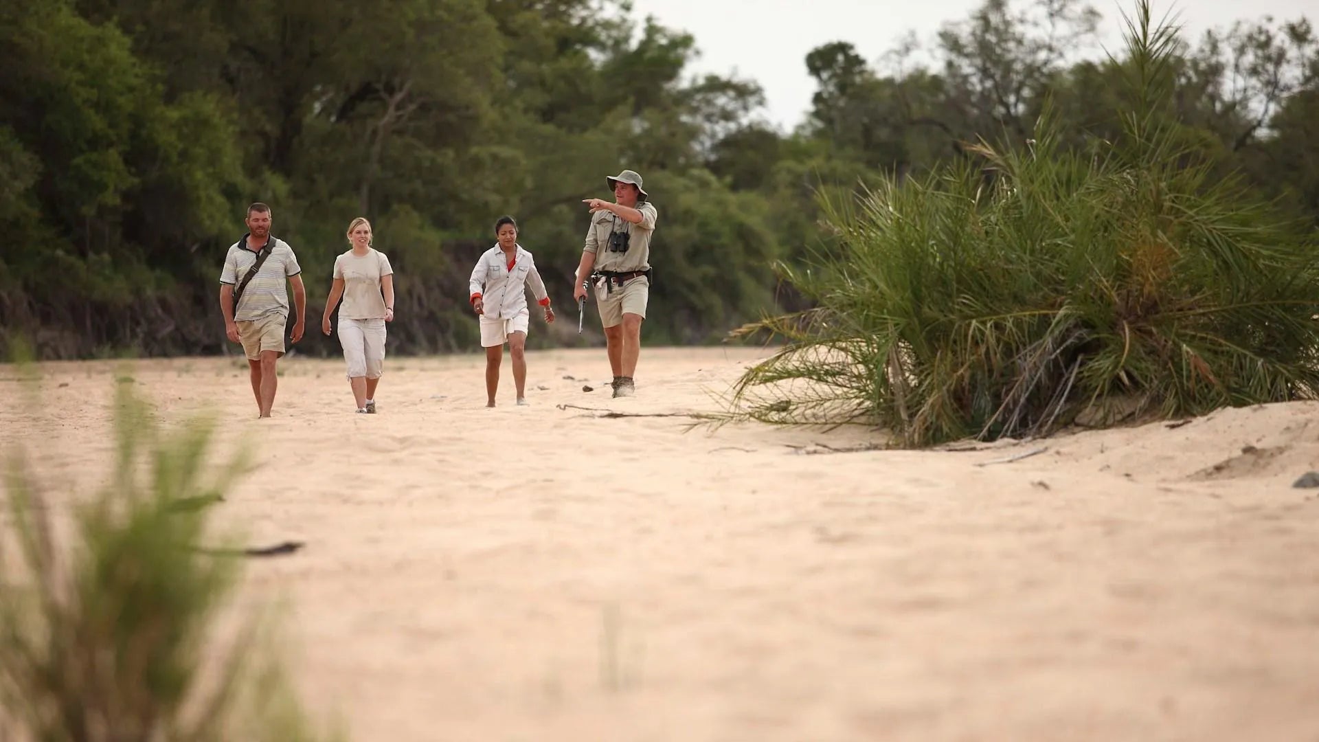 Guided Nature Walk at andBeyond Ngala Tented Camp, Ngala Private Game Reserve, South Africa.