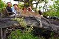 Motswari Private Game Reserve | Leopard