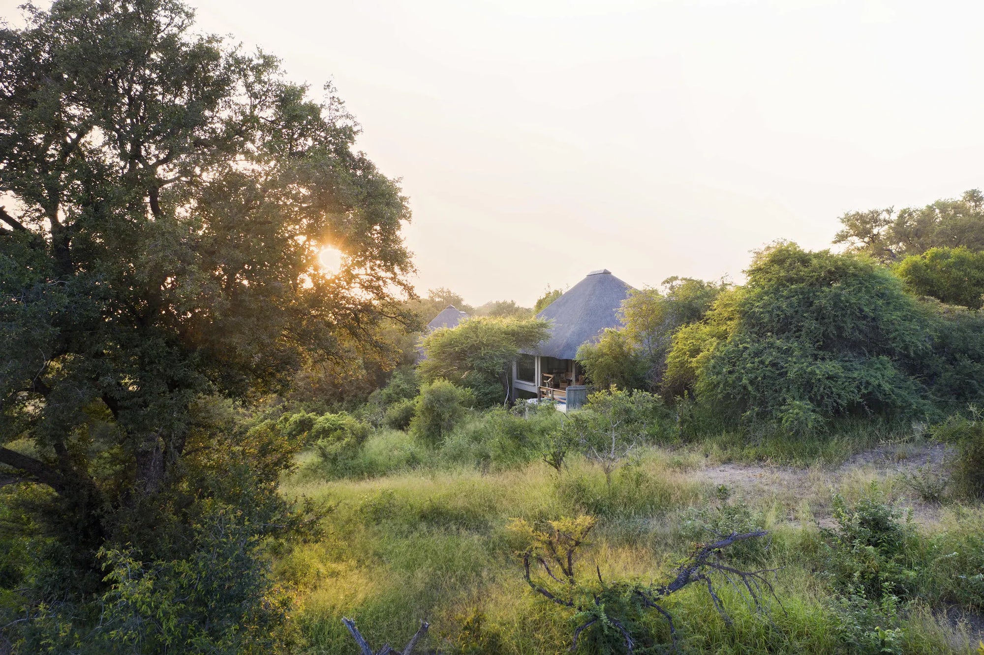 Londolozi Pioneer Camp Suite at Londolozi Pioneer Camp, Londolozi Game Reserve, South Africa.