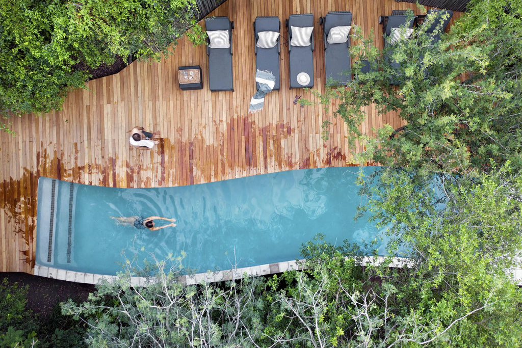 Londolozi Pioneer Camp - Full length Lap pool at Londolozi Pioneer Camp, Londolozi Game Reserve, South Africa.