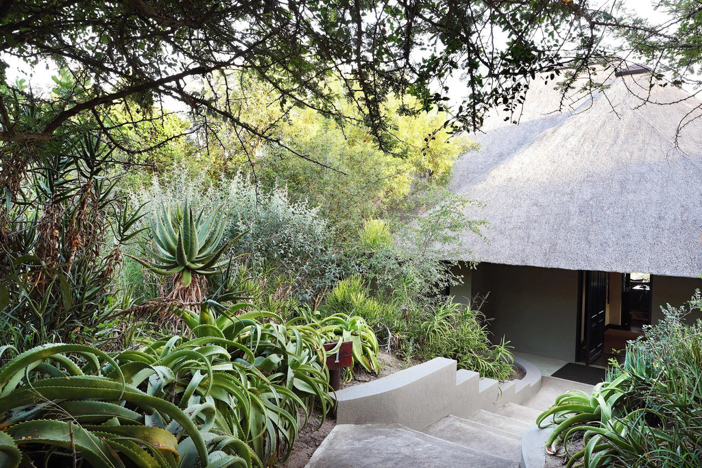 Londolozi Pioneer Camp - Gardens at Londolozi Pioneer Camp, Londolozi Game Reserve, South Africa.
