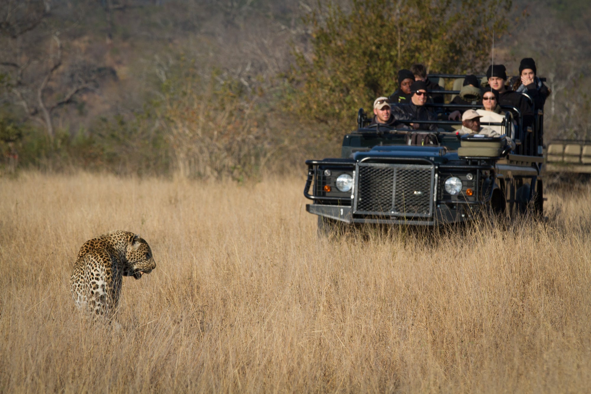 Game Drives 